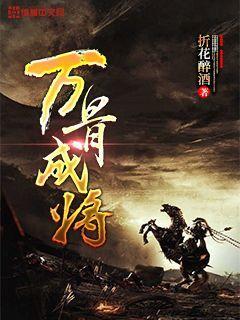 探知凤凰象征的意义?,拓展你的思维领域。