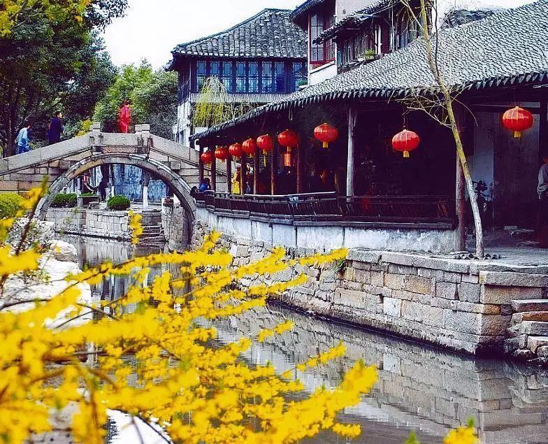 动物帮帮忙保卫家园